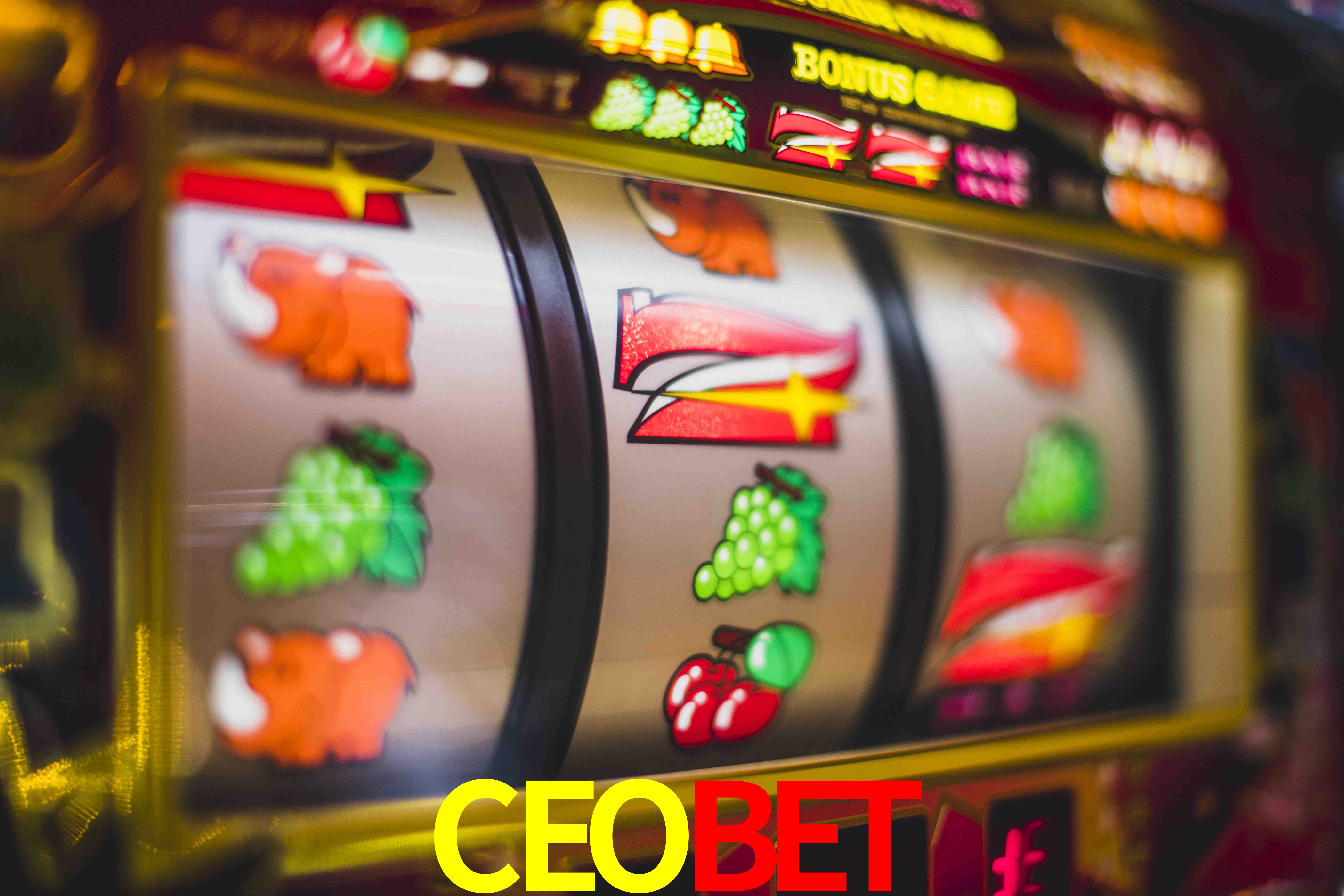 Basketball Betting CEOBET